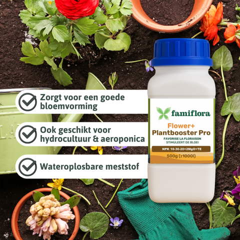 Plantbooster Bloei+ 500gr - 10-30-20 B.B. - afbeelding 2