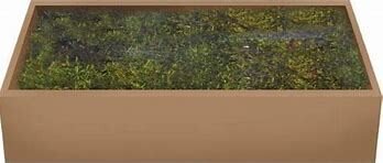 Platmos groen-bruin 500g
