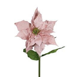 Poinsettia 55x135cm fluweel roze