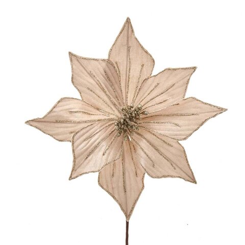 Poinsettia op steker fluweel champagne