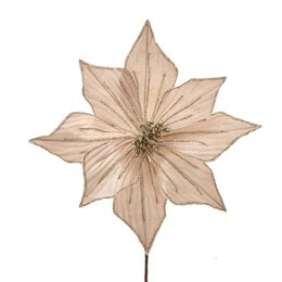 Poinsettia op steker fluweel champagne