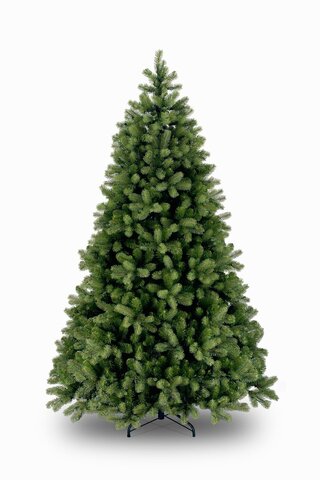 Poly Bayberry Spruce Hinged h228cm - image 1