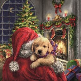 Puppy at Fire 33x33cm