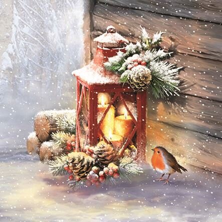 Robin by Lantern 33x33cm