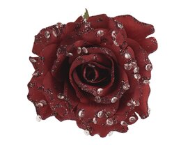 Roos op clip D14xH8cm oxblood