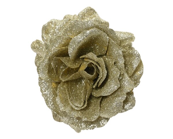 Roze D12cm champagne