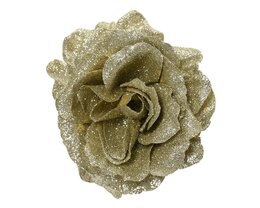 Roze D12cm champagne