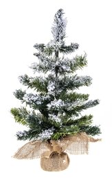 Sapin Blooming H50cm avec neige