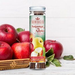 Scentsicles 6pc Stick Apples & autumn
