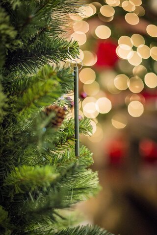 Scentsicles 6pc Stick Candy cane forest - afbeelding 3