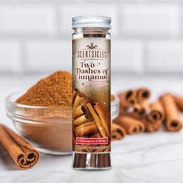 Scentsicles 6pc Stick Cinnamon - afbeelding 1