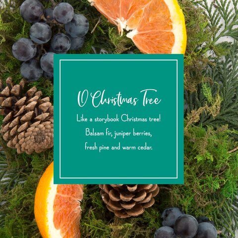 Scentsicles 6pc Stick O Christmas Tree - afbeelding 6