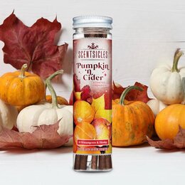 Scentsicles 6pc Stick Pumpkin & cider