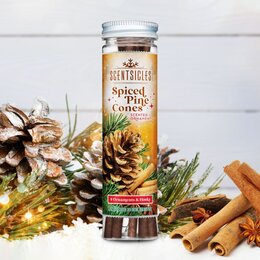 Scentsicles 6pc Stick Spiced Pine Cones - image 2