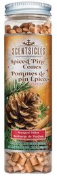 Scentsicles Scentfetti spiced pine cones