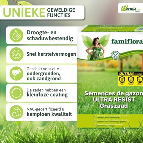 Semences de gazon Ultra Resist - 1kg (jusqu'a 40m2) - image 2