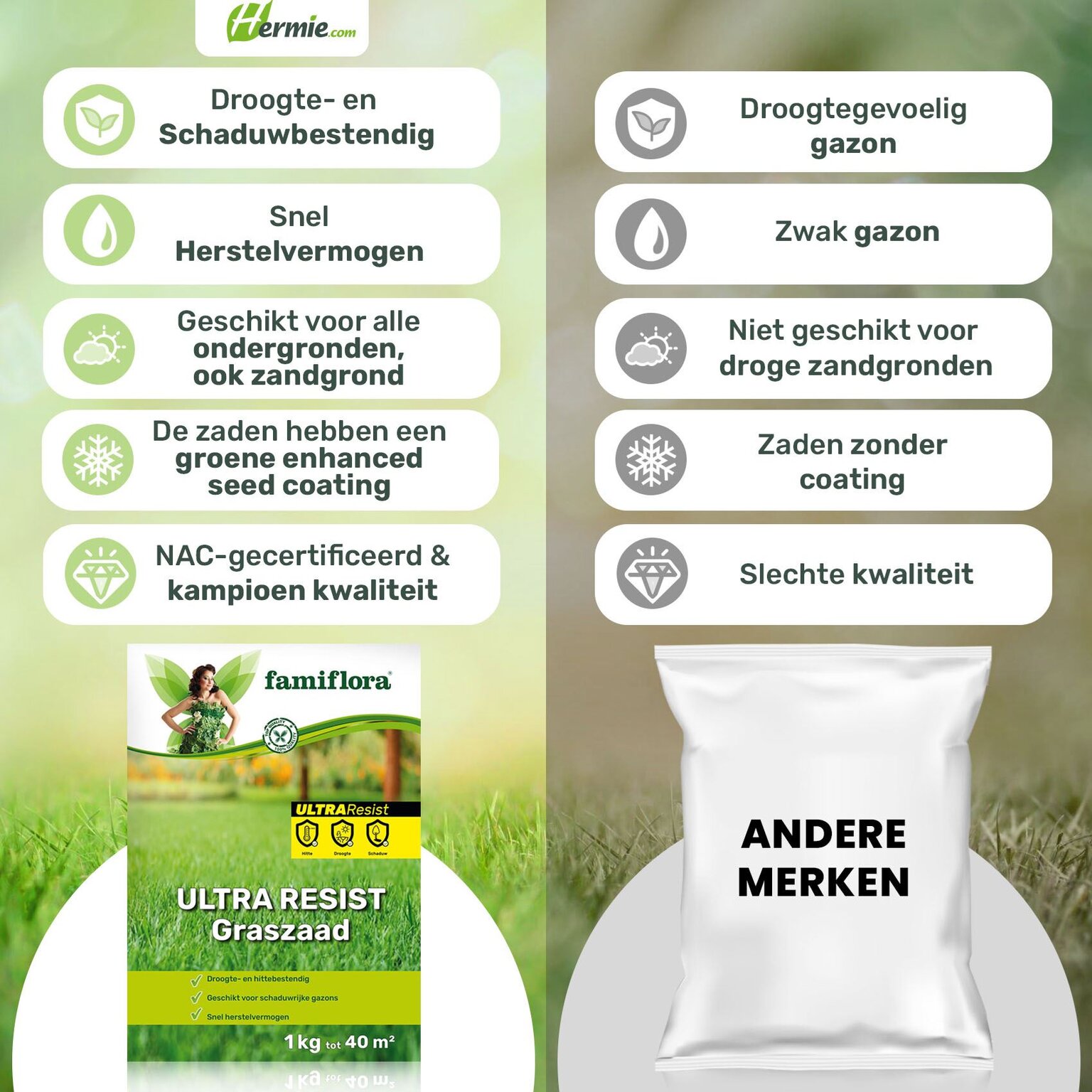 Semences de gazon Ultra Resist 1kg (jusqu'a 40m2) Famiflora ouvert 7/7