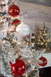 Snowy Norway  180cm - image 3