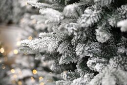 Snowy Norway  180cm - image 2