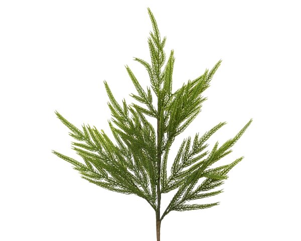 Spray Lush 8x55cm groen