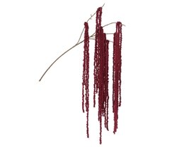 Spray op steel 15xH80cm rood