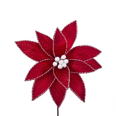 Steker poinsettia rood wit