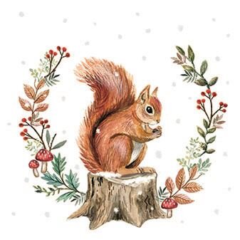 Storing for Winter 25x25cm