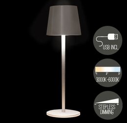 Tafellamp 27x9cm zilver warm wit Led