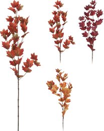 Tak esdoorn H92cm 3ass