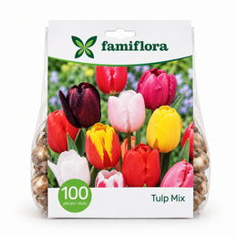 Tulipa Mix per 100