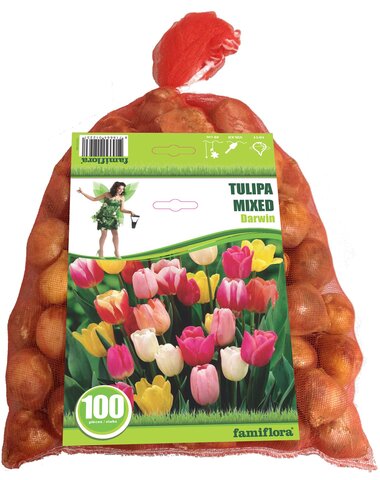 Tulipa Mix per 100