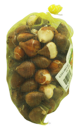 Tulipa Mix per 100 - afbeelding 4