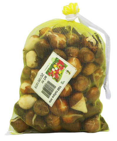 Tulipa Mix per 100 - afbeelding 3