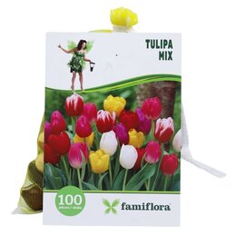 Tulipa Mix per 100 - afbeelding 5
