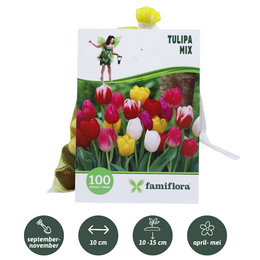 Tulipa Mix per 100 - afbeelding 1