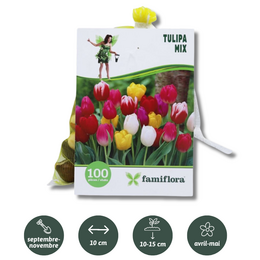 Tulipa Mix per 100 - afbeelding 2