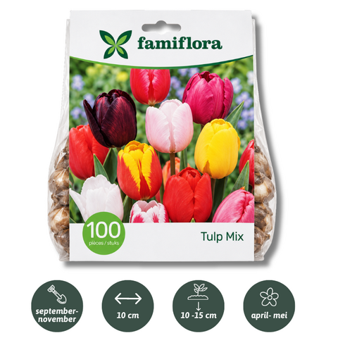 Tulipa Mix per 100 - afbeelding 2