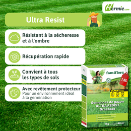 Ultra Resist graszaad - 1kg  (tot 40m2) - afbeelding 3