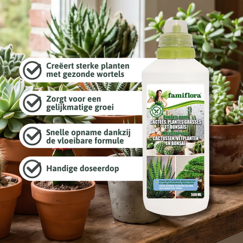 Vloeibare meststof voor cactus,vetplanten & bonsaï - 500ML - afbeelding 2