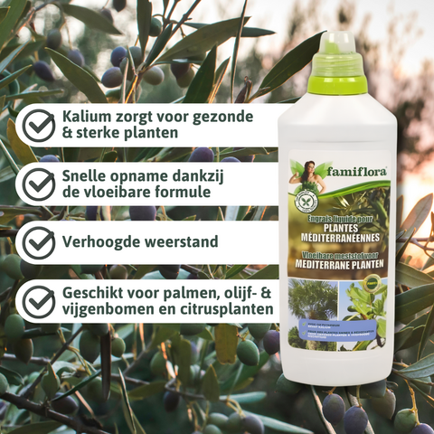 Vloeibare meststof voor mediterrane planten 1L - afbeelding 2
