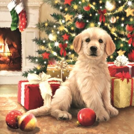 Waiting for Presents 33x33cm