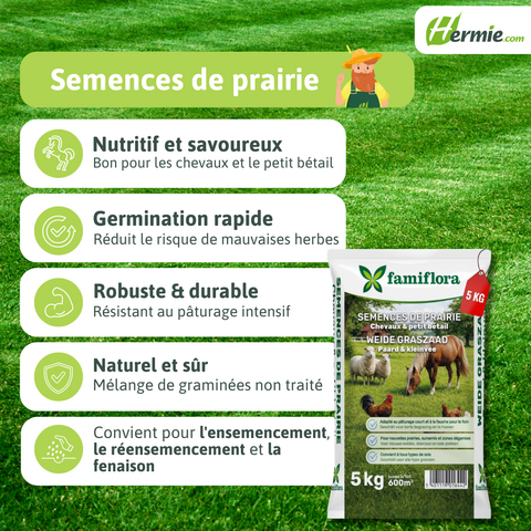 Weide Graszaad Paard & Kleinvee 5kg - afbeelding 3