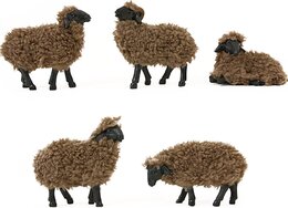 Wollen schapen bruin